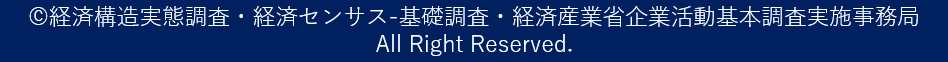 経済構造実態調査・経済センサス-基礎調査・経済産業省企業活動基本調査実施事務局 All Right Reserved.